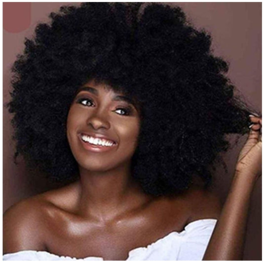 Afro Kinky Synthetic Wig